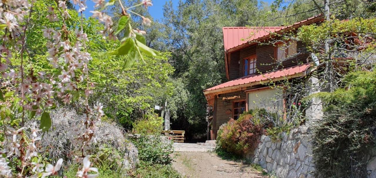 Casa De Montana Inmersa En Bosque Nativo San Jose de Maipo Ngoại thất bức ảnh